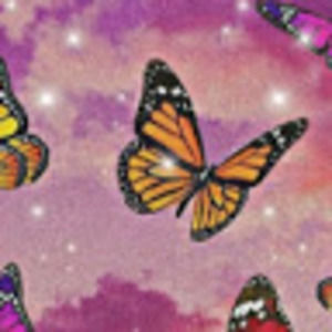 Meet your Posher, Nevaeh